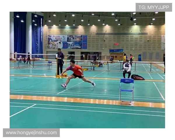 成都羽毛球队在比赛中的盯防策略分析与成效评估