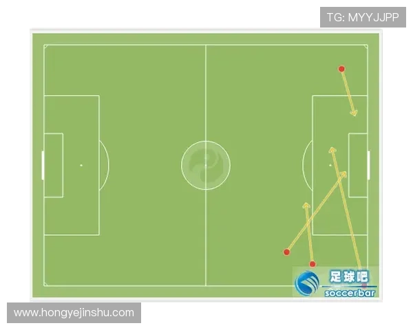 深圳乒乓球队区域防守体系解析与战术应用探讨